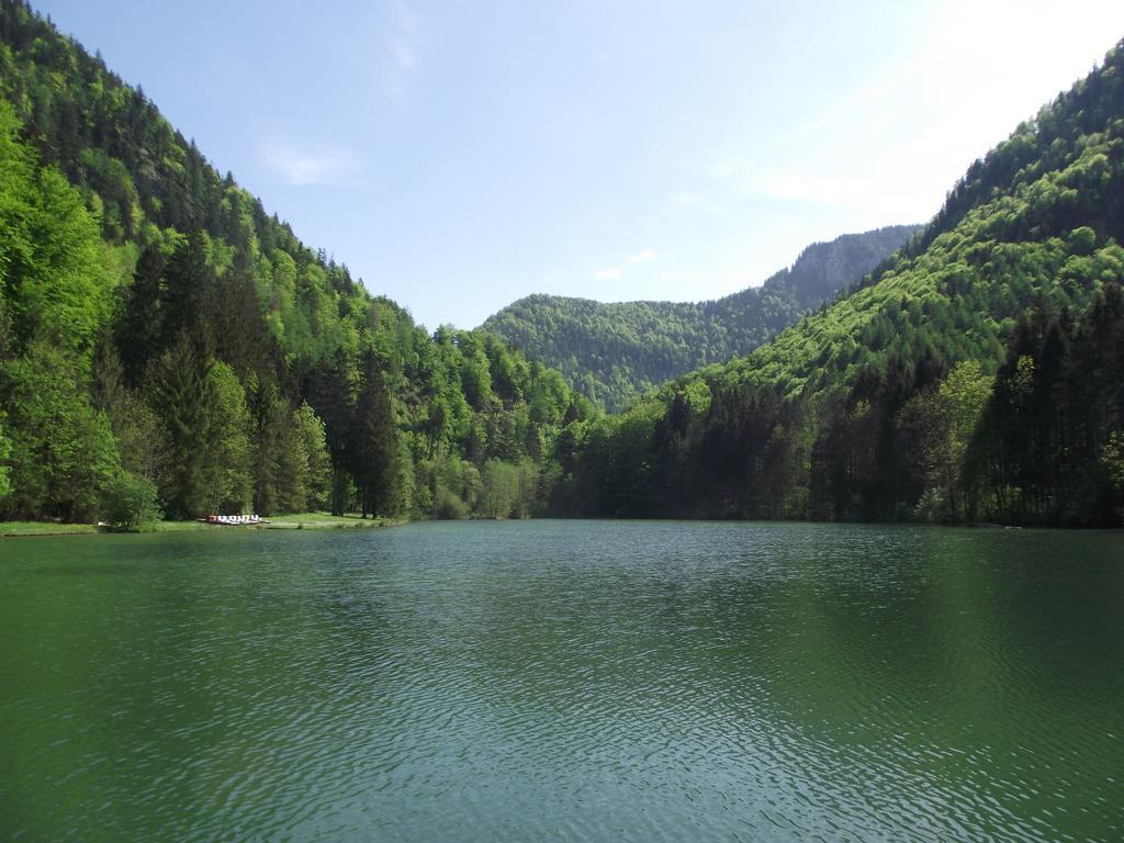 Ferienwohnung Am Roemerweg Wald Inzell Εξωτερικό φωτογραφία