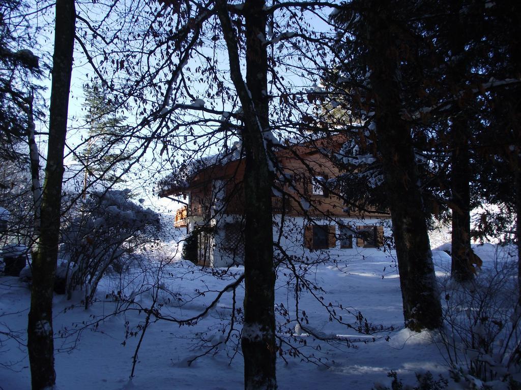 Ferienwohnung Am Roemerweg Wald Inzell Εξωτερικό φωτογραφία